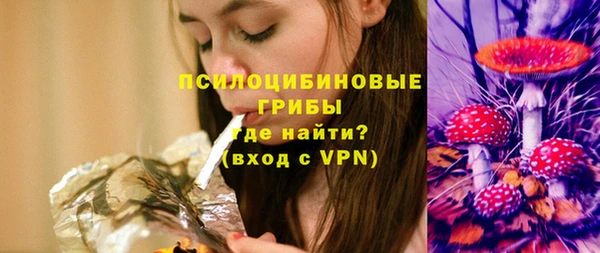 ГАЛЛЮЦИНОГЕННЫЕ ГРИБЫ Баксан