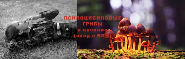 ГАЛЛЮЦИНОГЕННЫЕ ГРИБЫ Баксан