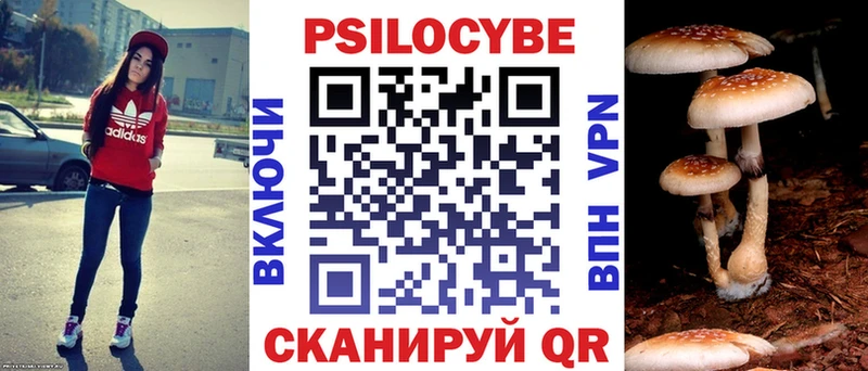 Псилоцибиновые грибы MAGIC MUSHROOMS Зерноград